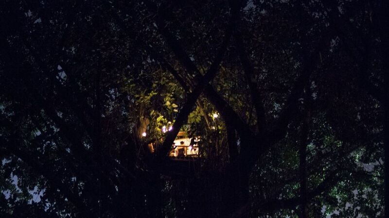 Imagem da cena