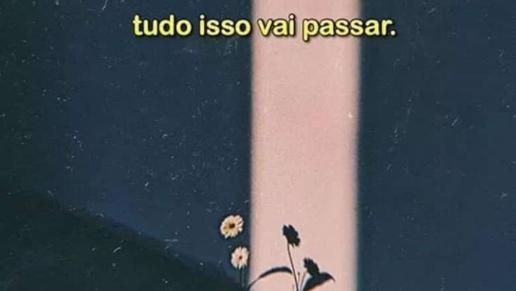 Imagem da cena